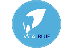 vital_blue_logo.webp